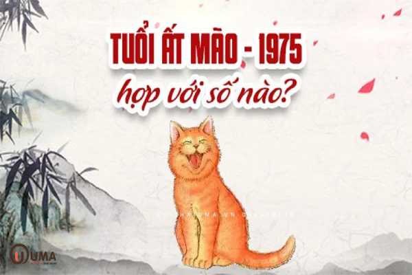 Dự đoán con số may mắn tuổi Ất Mão hôm nay