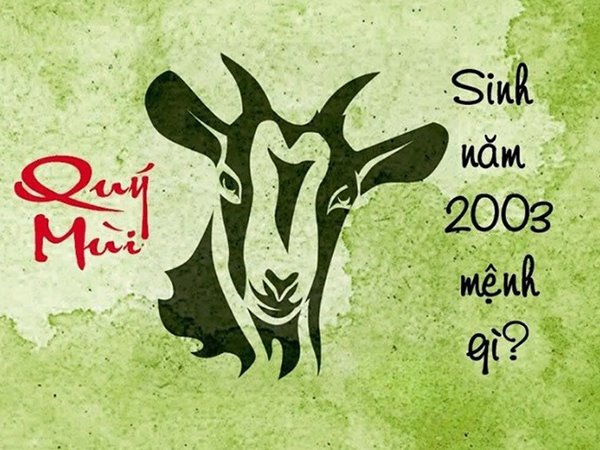 Mệnh Mộc 2003 hợp số nào biến chuyển vận hạn?