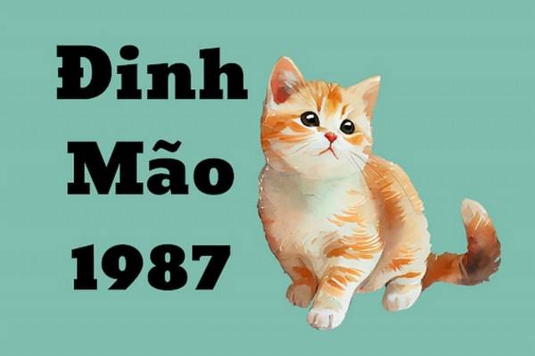 Đinh Mão 1987 hợp số nào giúp thăng tiến, phát đạt?