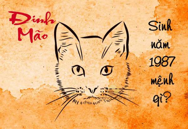Con số tuổi Đinh Mão 1987 cần tránh