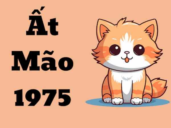 Tổng quan vận trình tuổi Ất Mão ngày 27/6/2025