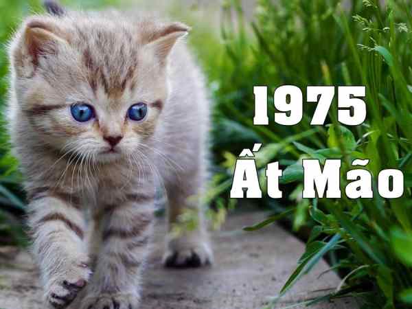 Phân tích con số may mắn tuổi Ất Mão ngày 27/6/2025