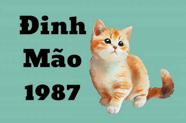 Lý giải con số phát tài tuổi Đinh Mão ngày 25/6/2025