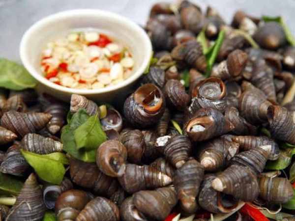 Mơ thấy ăn ốc xào cay