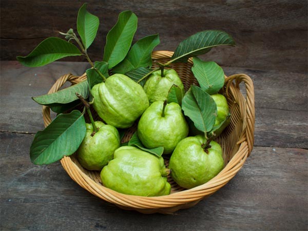 Giấc mộng thấy được người khác cho quả ổi