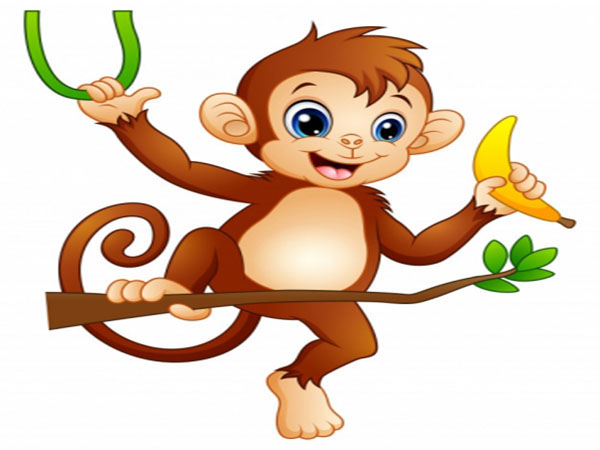 Tổng quan về người tuổi Thân ngày 29/8/2025 thứ 6 hôm nay