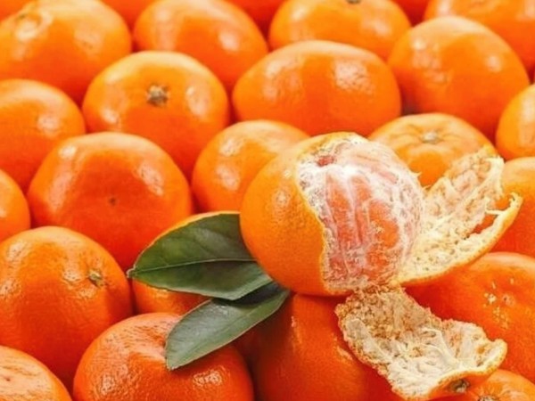 Nằm mơ thấy quả quýt có điềm gì hên hay xui?