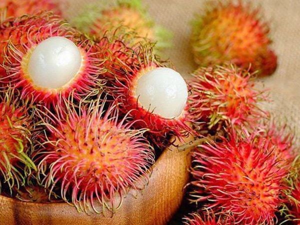 Ngủ mơ thấy quả chôm chôm có ý nghĩa gì?