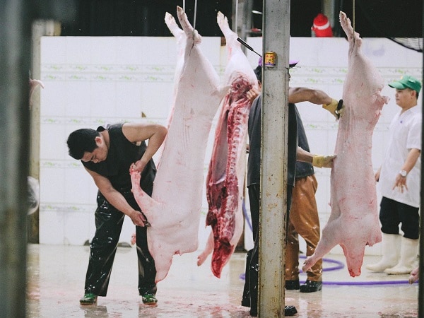 Nằm mơ thấy làm thịt heo báo hiệu điềm hung hay cát?