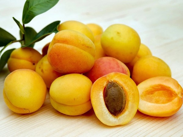 Nằm mơ thấy quả mơ báo hiệu cơ hội đang đến?
