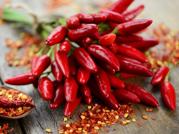 Mơ thấy nhiều quả ớt