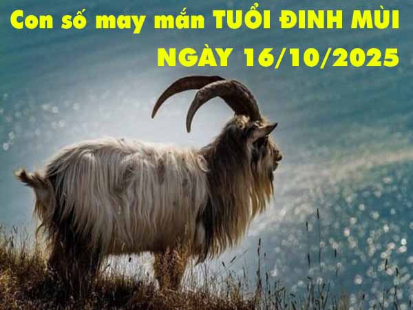 Con số tài lộc tuổi Đinh Mùi ngày 16/10/2025 thứ 5 hôm nay