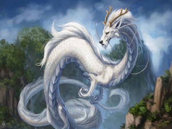 Nằm mơ thấy rồng là điềm gì cho cuộc sống tương lai Nằm mơ thấy rồng là điềm gì cho cuộc sống tương lai