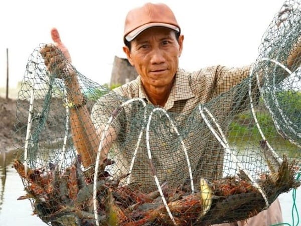 Ý nghĩa tâm linh của giấc mơ bắt tôm