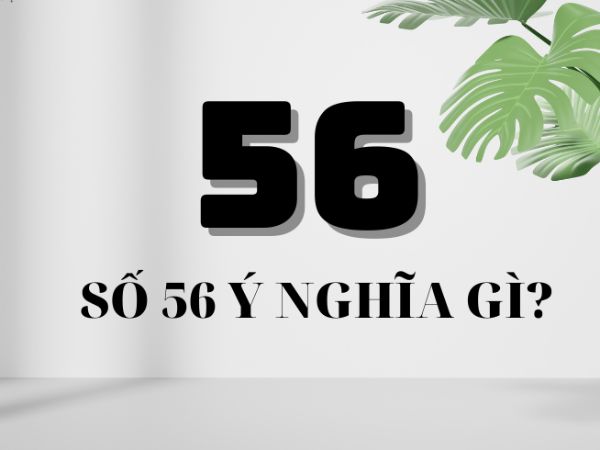 Khám phá ý nghĩa số 56 theo phong thủy chiêm tinh học Khám phá ý nghĩa số 56 theo phong thủy chiêm tinh học