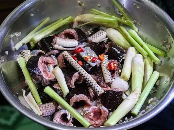 Nằm mơ thấy ăn thịt rắn có ý nghĩa gì số gì phát tài Nằm mơ thấy ăn thịt rắn có ý nghĩa gì số gì phát tài